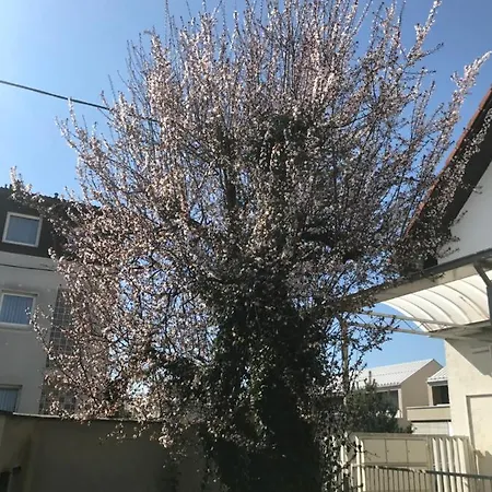 Konukevi Hello Ljubljana- Green Way And Ljubljana