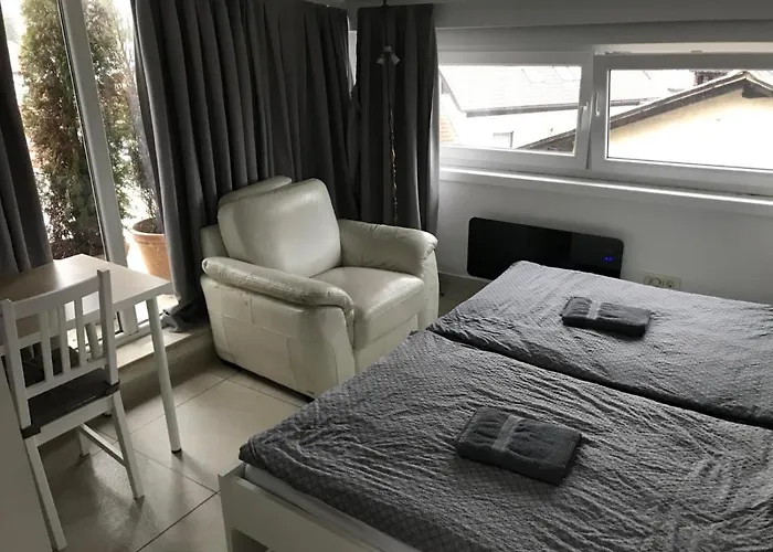 Hello Ljubljana- Green Way And Pensión *