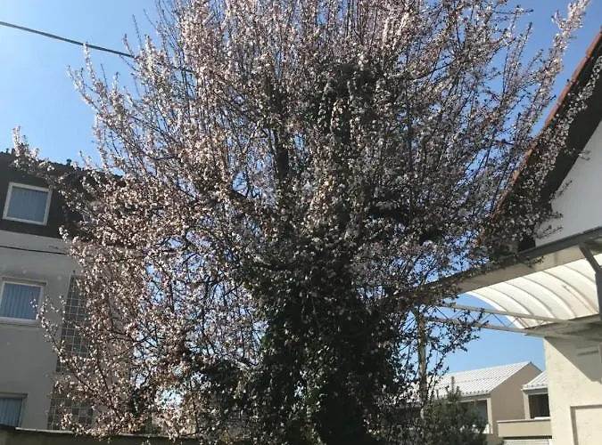 بيت ضيافة Hello Ljubljana- Green Way And ليوبليانا